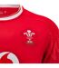 Maillot Domicile 2024/25 Homme Rouge Blanc Wales RU-3