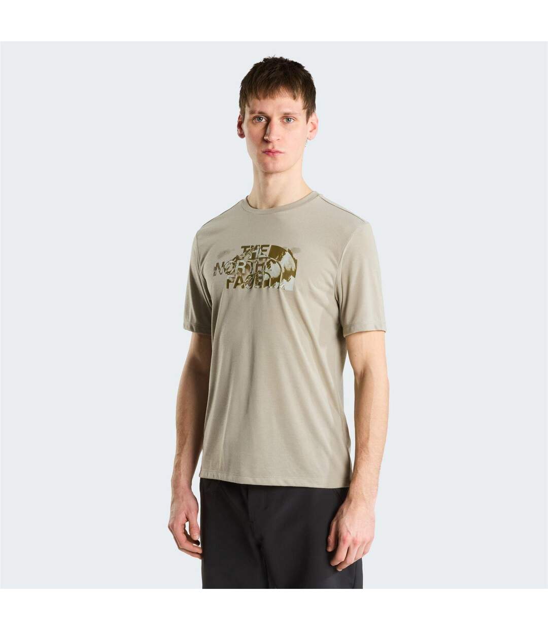T-shirt Motif/style Logo Foundation Homme Gris Pierre The North Face-3