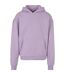 Sweat À Capuche Homme Lilas Urban Classics-1