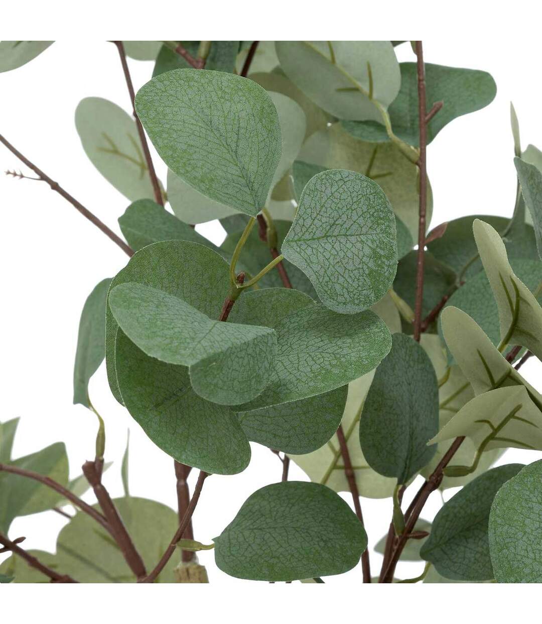 Plante Artificielle Eucalyptus Cony 127cm Vert-2