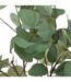 Plante Artificielle Eucalyptus Cony 127cm Vert-2