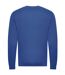 Awdis Unisex Adult Sweatshirt (Royal Blue) - UTRW7903