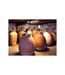 Découverte de vignes biodynamiques avec dégustation de vins en Gironde - SMARTBOX - Coffret Cadeau Sport & Aventure