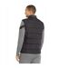 Veste Sans Manches Team Liga Homme Noir Puma-4