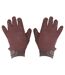Shires Unisex Adult Newbury Gloves (Brown)