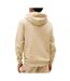 Sweat à capuche beige homme tommy hilfiger tjm reg badge - l-2