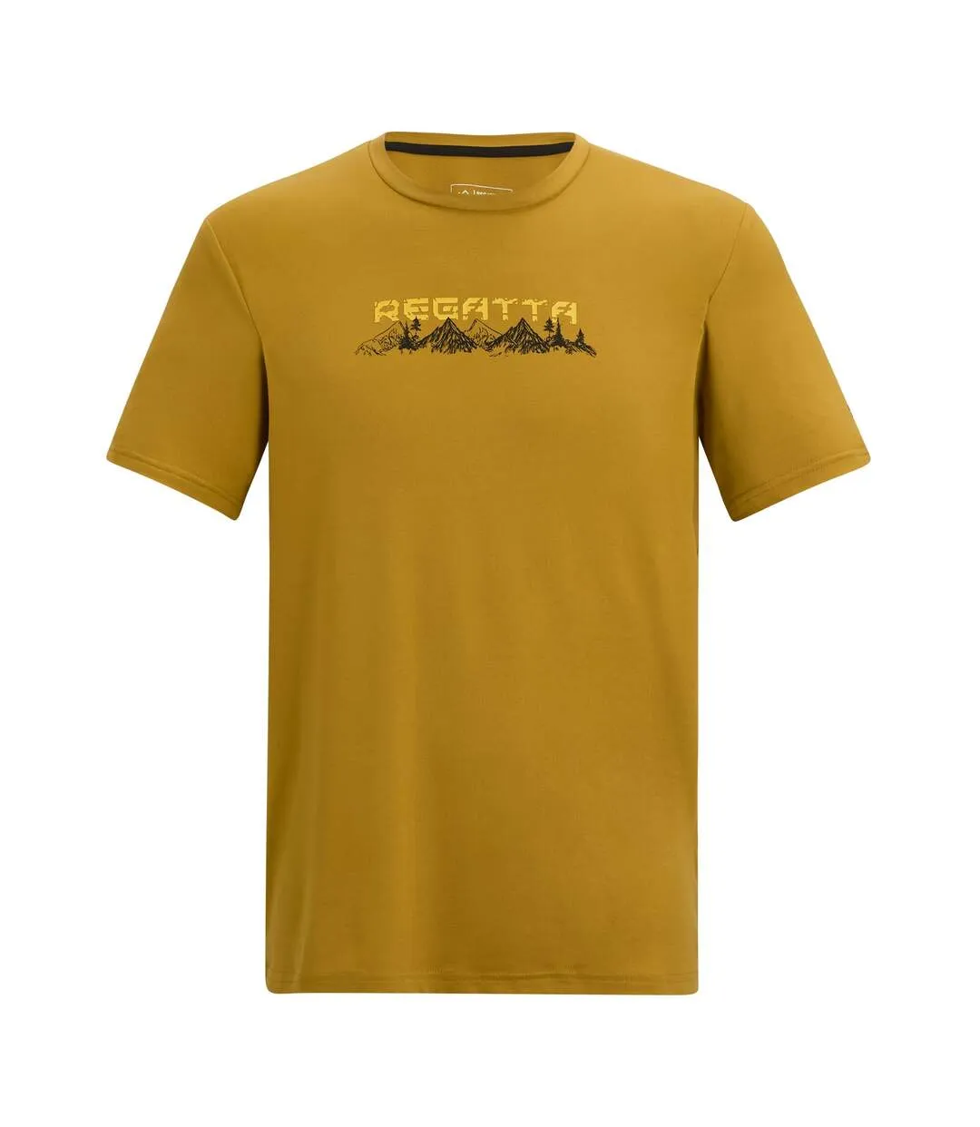 Mens Fingal Mountain T-shirt Wood Brown Regatta-2