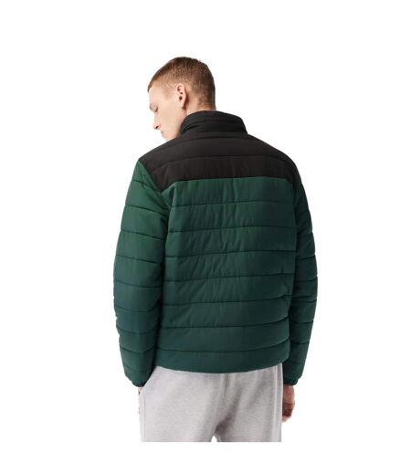 Doudoune matelassée homme noir / vert Lacoste