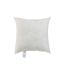 Coussin de Garnissage Pearl 40x40cm Blanc