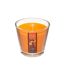 Bougie Parfumée en Verre Nina 190g Fruits Exotiques