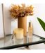 Bougie Parfumée en Verre Sana 255g Terre d'Ailleurs-3