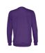 Cottover Unisex Adult Sweatshirt (Purple) - UTUB400