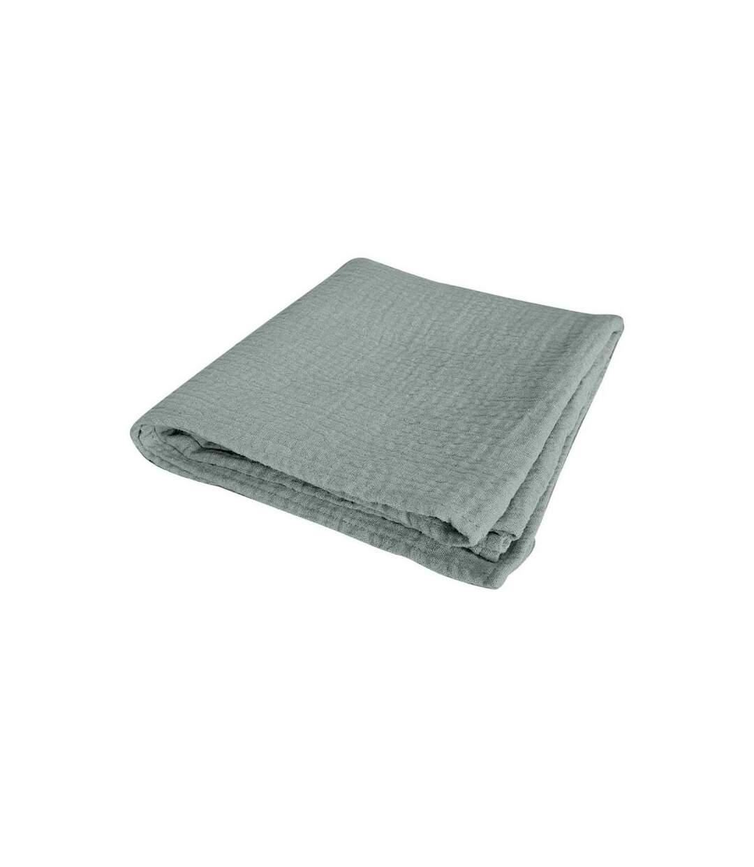 Paris Prix - Drap Housse Bébé extensible 60x120cm Céladon-1