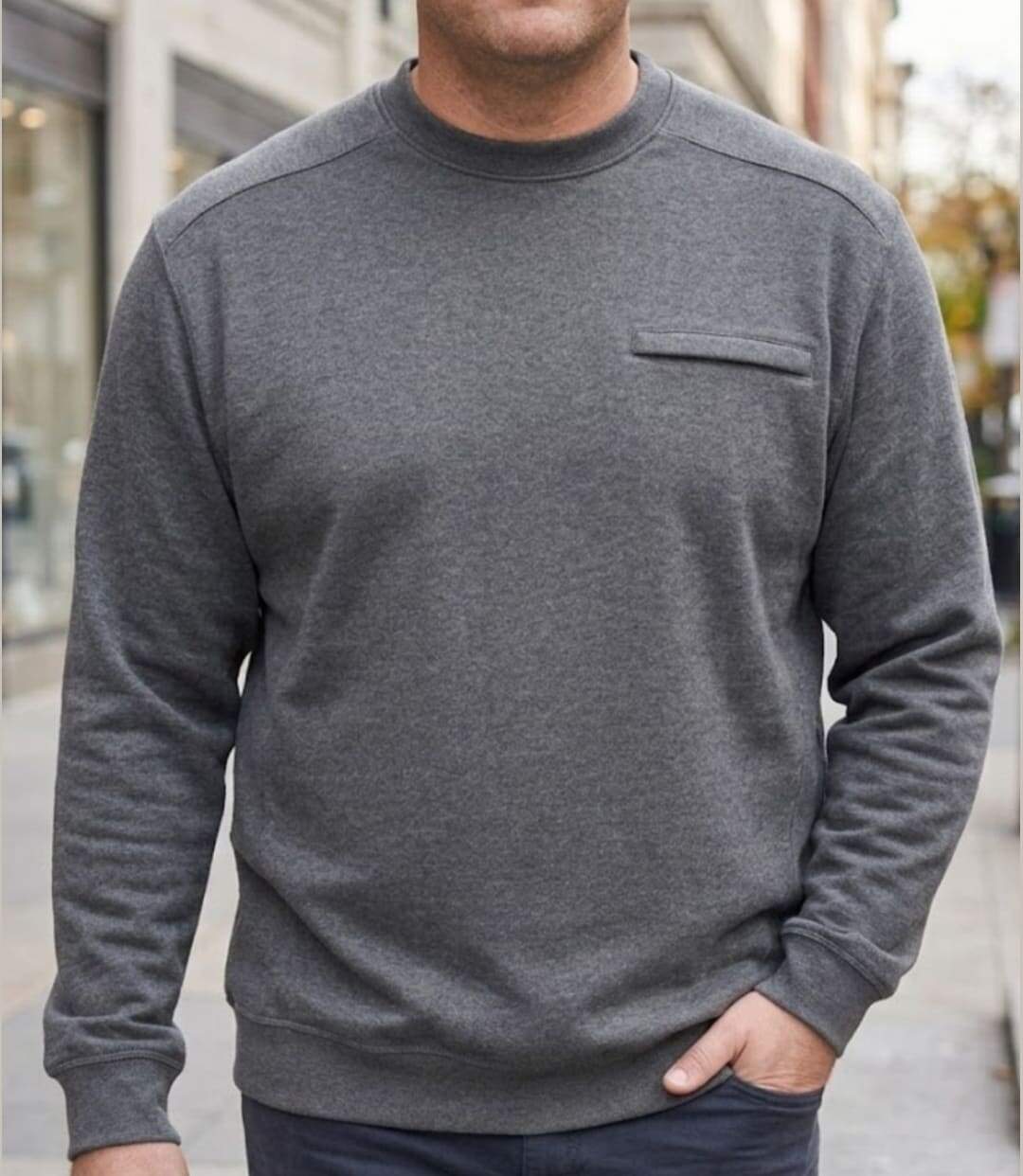 CHALLENGER BULGARE1 — Sweat col rond gris : style décontracté et finitions soignées-1