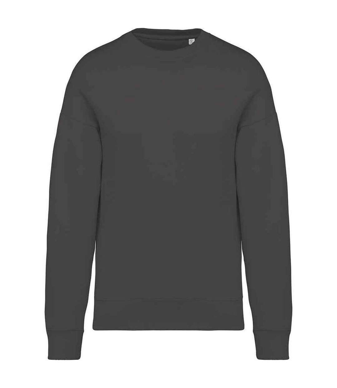 Womens/ladies oversized sweatshirt iron grey Native Spirit-1