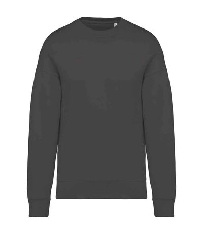 Womens/ladies oversized sweatshirt iron grey Native Spirit