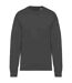 Womens/ladies oversized sweatshirt iron grey Native Spirit-1