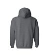 Gildan - Sweatshirt à capuche - Unisexe (Gris argent) - UTBC468