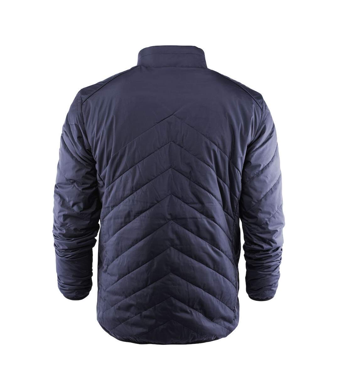 Mens deer ridge padded jacket navy James Harvest