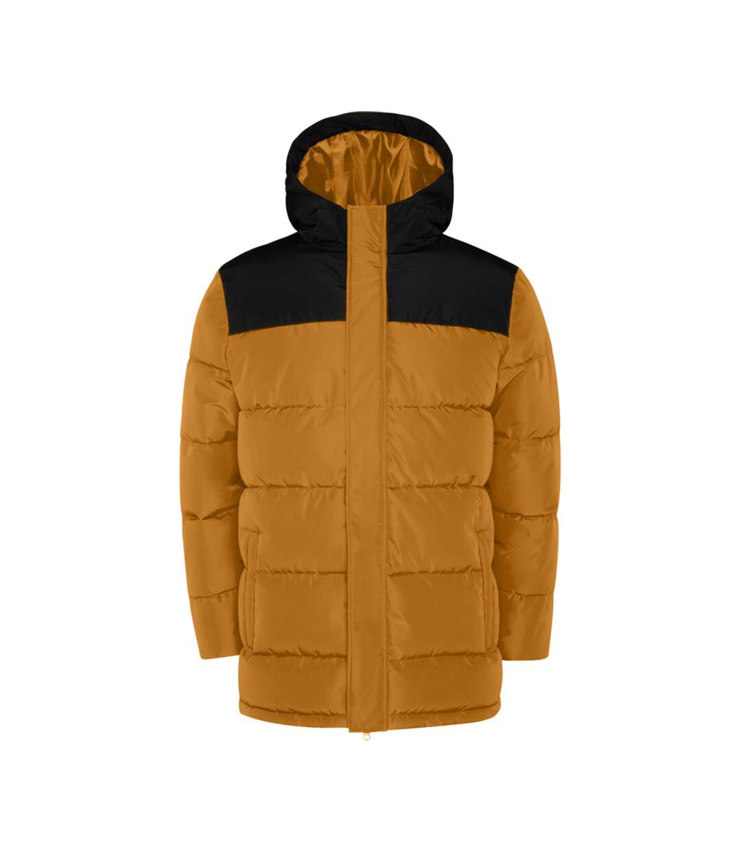 Veste Isolée Tallin Adulte Jaune Curry Noir Uni Roly-1
