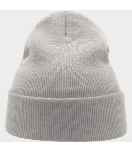 Atlantis Unisex Adult Wind Recycled Cuffed Beanie (White) - UTAB617