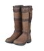 Dublin Womens/Ladies Erne Leather Boots (Chocolate) - UTWB2053