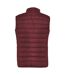 Veste Sans Manches Oslo Femme Pourpre Foncé Roly-2
