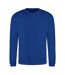 Sweat Adulte Bleu Roi Vif Awdis-1