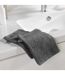 Lot de 2 Gants de Toilette Tendresse 15x21cm Anthracite-2
