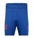 Mens Rangers Fc Tracksuit Bottoms Navy Castore-3