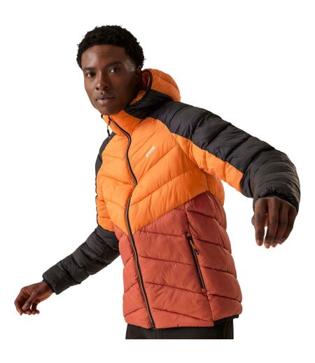 Veste Isolante Dalent Homme Orange Sombre Ocre Rouge Regatta