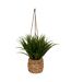 Herbe Artificielle Suspendue Moda 27cm Naturel-1