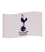 Tottenham Hotspur FC Flag (White) (One Size) - UTTA4613