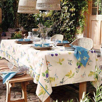Notes provencales
