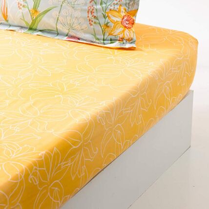 Drap-housse