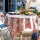 Nappe-2
