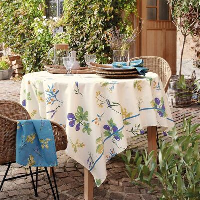 Notes provencales