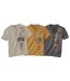 Pack of 3 Men's Tunisian-Collar Graphic T-Shirts