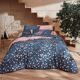 Drap-2
