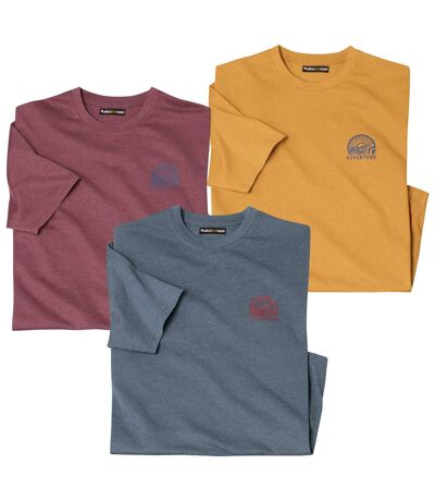 Pack of 3 Men's Classic T-Shirts - Blue Terracotta Ocher