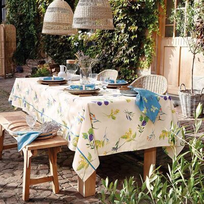 Notes provencales