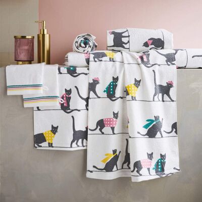 Chats parade