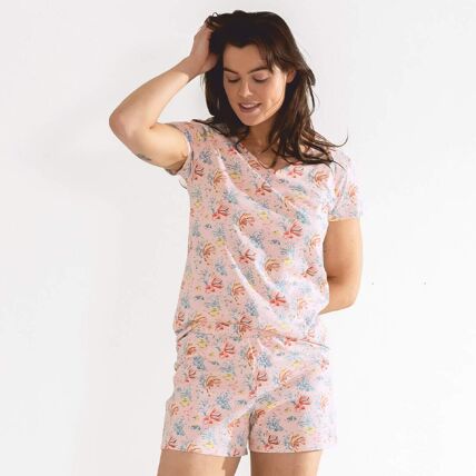 Pyjama rose