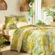 Drap-housse-3
