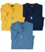 Lot de 3 Tee-shirts Col Boutonné Cotons-1