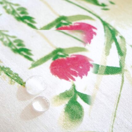 Nappe