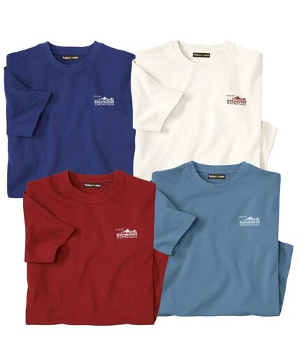 Pack of 4 Men's T-Shirts - Navy White Brick Red Blue