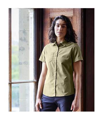 Craghoppers Womens/Ladies Expert Kiwi Short-Sleeved Shirt (Pebble Brown) - UTPC4535