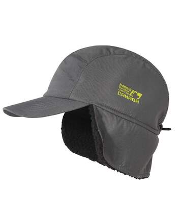 sherpa lined baseball cap