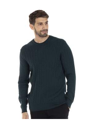 Pull manches longues col rond coton LEO